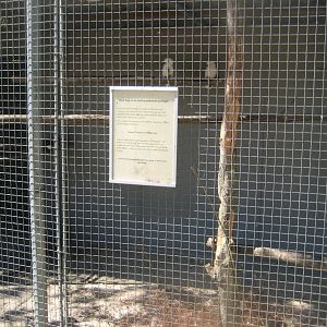 Frydenlund Fuglepark - "Rescue aviary"