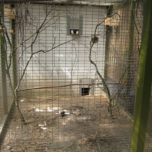 Frydenlund Fuglepark - Dove aviary