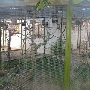 Frydenlund Fuglepark - Turaco aviary