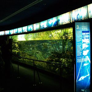 L'aquàrium Barcelona