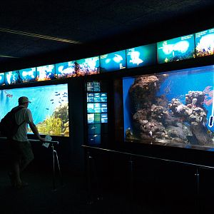 L'aquàrium Barcelona