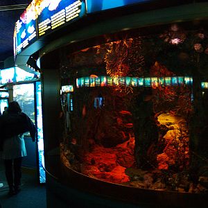 L'aquàrium Barcelona