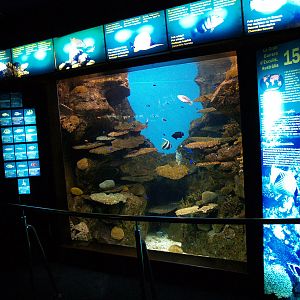 L'aquàrium Barcelona
