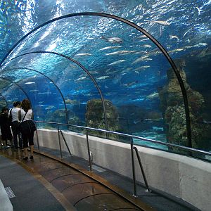 L'aquàrium Barcelona