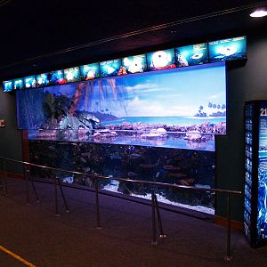 L'aquàrium Barcelona