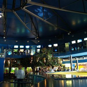 L'aquàrium Barcelona