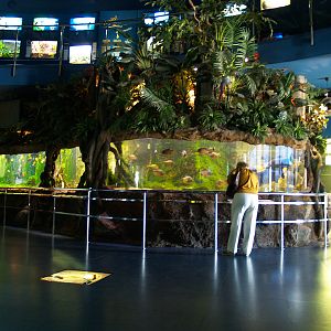 L'aquàrium Barcelona
