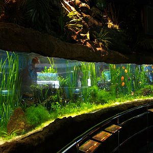 L'aquàrium Barcelona