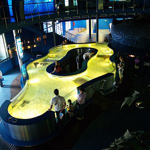 L'aquàrium Barcelona