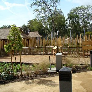 Pachyderm Forest construction