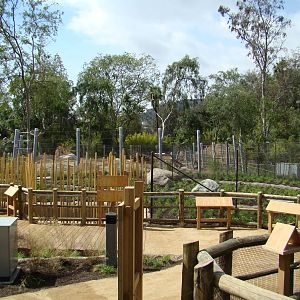 Pachyderm Forest construction