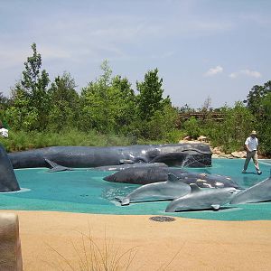 Empty Splash Ground - Kid's Zone