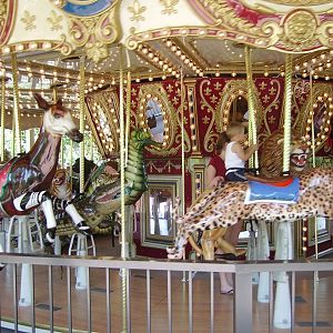 Carousel - Kid's Zone