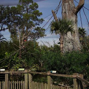 Emerald Forest Aviary - Range of the Jaguar