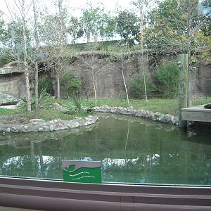 River Otter Enclosure - Kid's Zone
