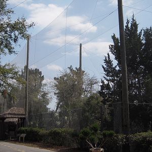 Alligator Wetlands Aviary