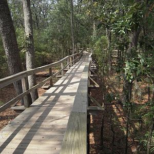 Boardwalk Trail