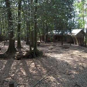 Grey Wolf Yard and Viewing Lodge - Wolf Wilderness