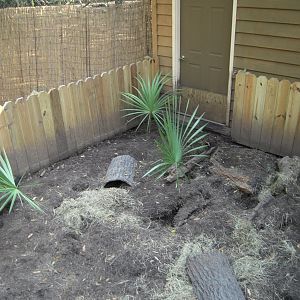 Armadillo Enclosure - Wolf Wilderness
