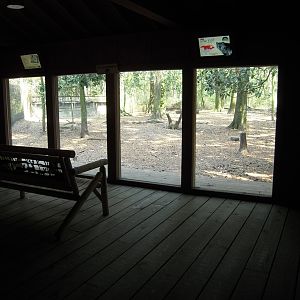 Indoor Viewing - Wolf Wilderness