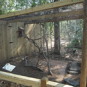 Peregrine Falcon Enclosure - Wolf Wilderness