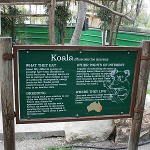 koala sign