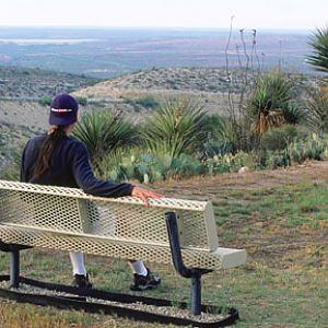 the view from LDSP (New Mexico)