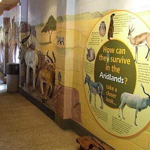 African Aridlands House, interior