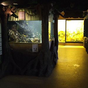 Heart of Africa, interior