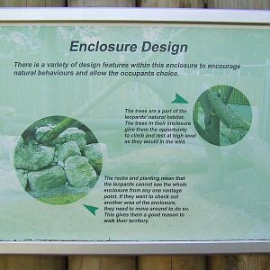 Information table about the Enclosure Design, Amur Leopard exhibit