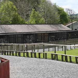 Vulture aviaries @ Yorkshire Dales Falconry 03.05.09