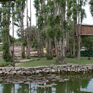 Parque de Las Leyendas - Lima