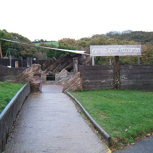 Cornish Coast Experience