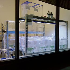 Amphibian Conservation Center