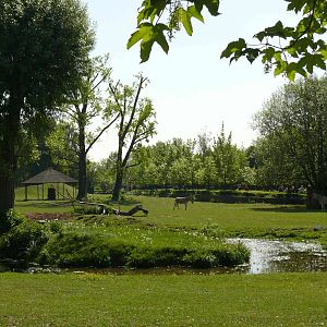 Big summer enclosure