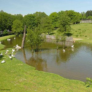 Panormatic enclosure