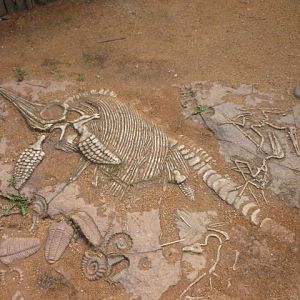 African Village: Fossil Graveyard