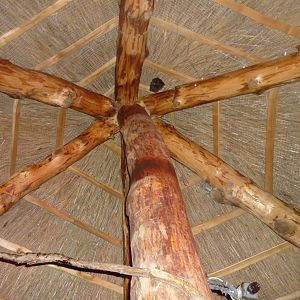 African Village Nocturnal Hat