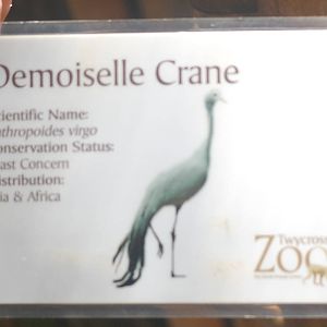 Typical Twycross Signage