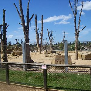half of the elephant enclosure