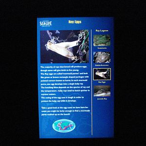 Example of tank labels, 02/05/2009