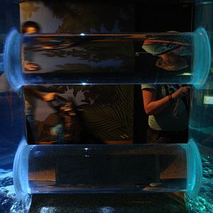 Tank connection in the conservation area, 02/05/2009