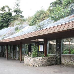 Rock Dens @ Edinburgh 25.09.08