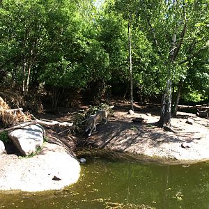 Copenhagen Zoo - Wolf exhibit