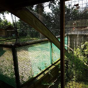 Behind the scene-enclosures