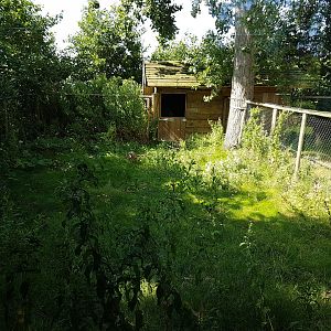 Behind the scene-enclosure