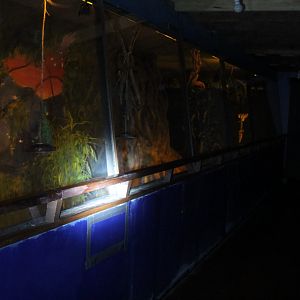 the main exhibit