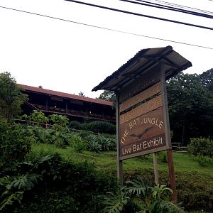 View from the outside