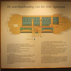 Interior diagram of Aquarium basement