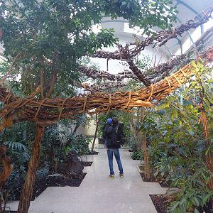 Interior of Monkey House